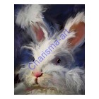 Fluffy Face Bunny Rabbit PRINTS